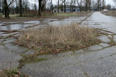 Evidence of the field's WW2 history. A sealed in crater, which informed speculation suggest might be from a bomb in the 150 kg range that had failed to explode